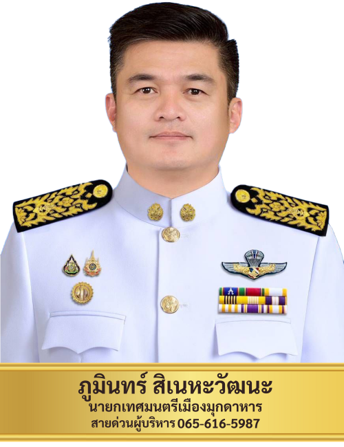 MayorVer.P.png